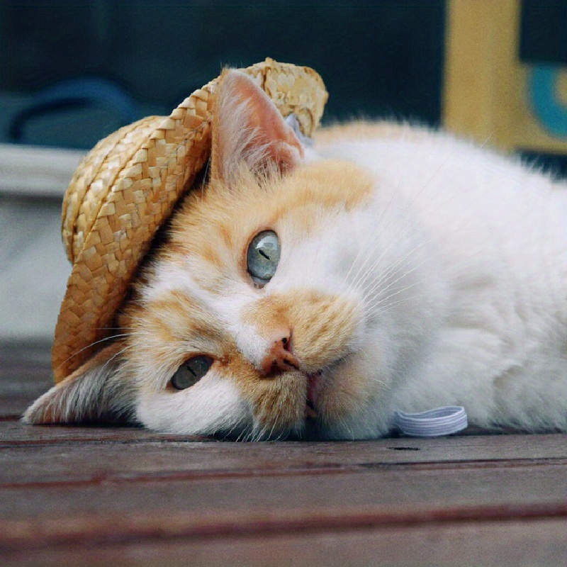 Adjustable Pet Sombrero Straw Hat For Summer Sun Protection - Temu