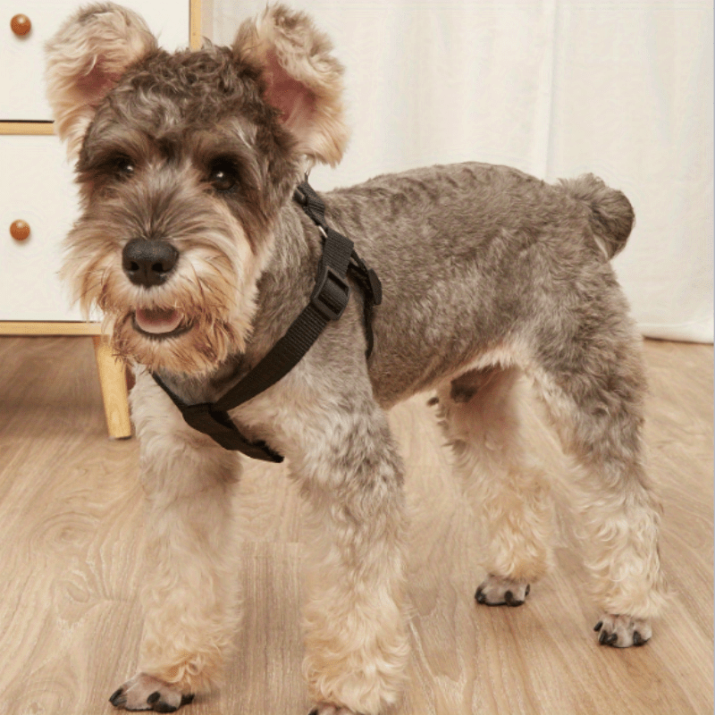 E-shop Haustiergeschirr Einzelnes Nylonhund Brust- Und Rückenriemen Einstellbare Fluchtbeständige Haustierweste