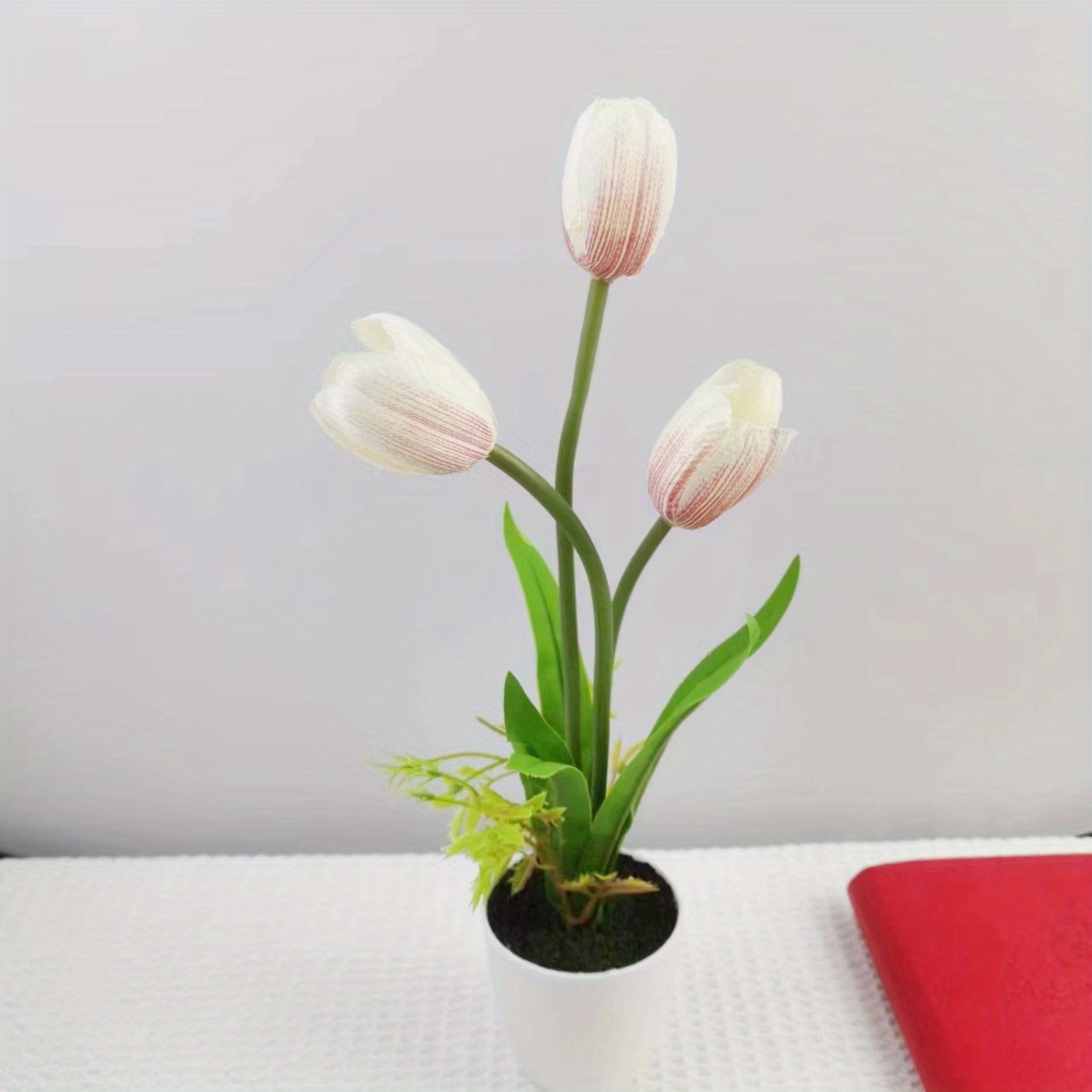 Tulips - Temu