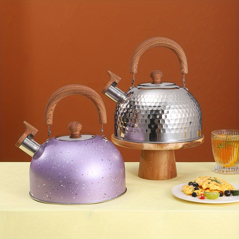 Théière en métal BORREY bouilloire sifflante cuisinière à gaz inox  cuisinière à Induction bouilloire Camping en plein air eau de cuisson  bouilloire à thé