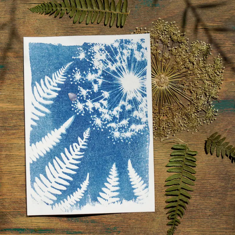 Cyanotype Solar Print Kit Including Cyanotype Paper Plant - Temu