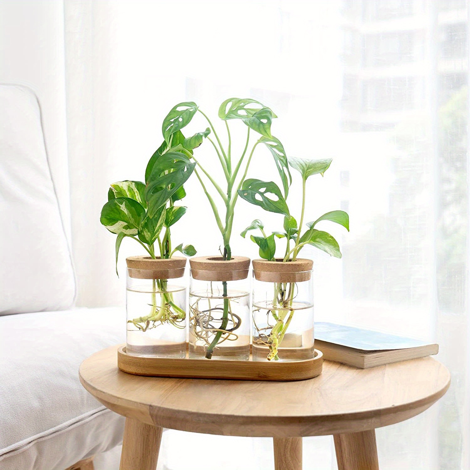 Plants With This 3 Piece Propagation Terrarium Home Or Office Decor ...