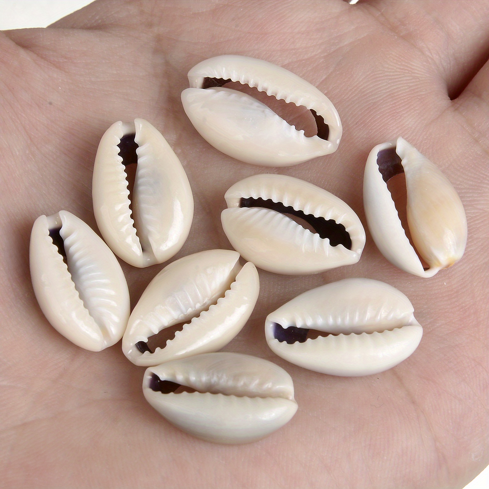 Zotoone 20pcs Natural Shell Pendants Spiral Shell Conch Shell Beach Cowrie  Sea Shells Charms Jewelry Charms Ocean Beach Dangle Beads for Nautical