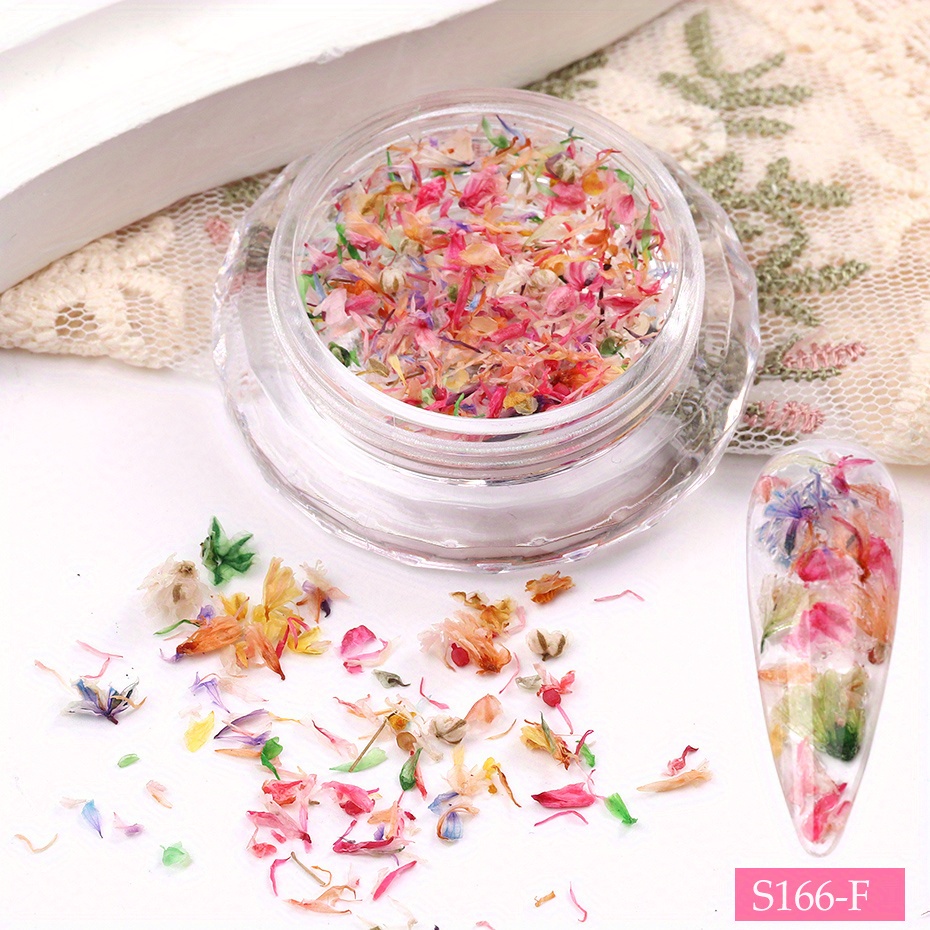 Natural Colorful Dried Flowers For Nail Art Decorations Diy - Temu