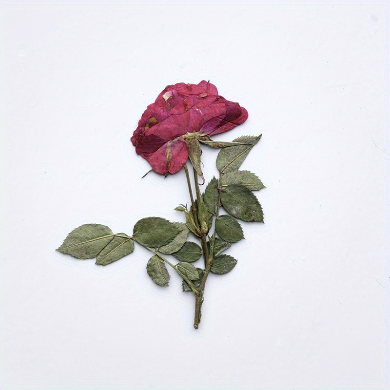 Small Rose Dry Embossing Resin Kit: Create Diy Art Crafts