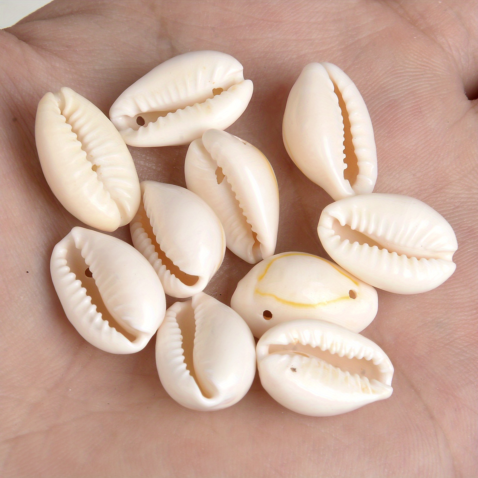 Joy Sea Shell Beads 12 ct