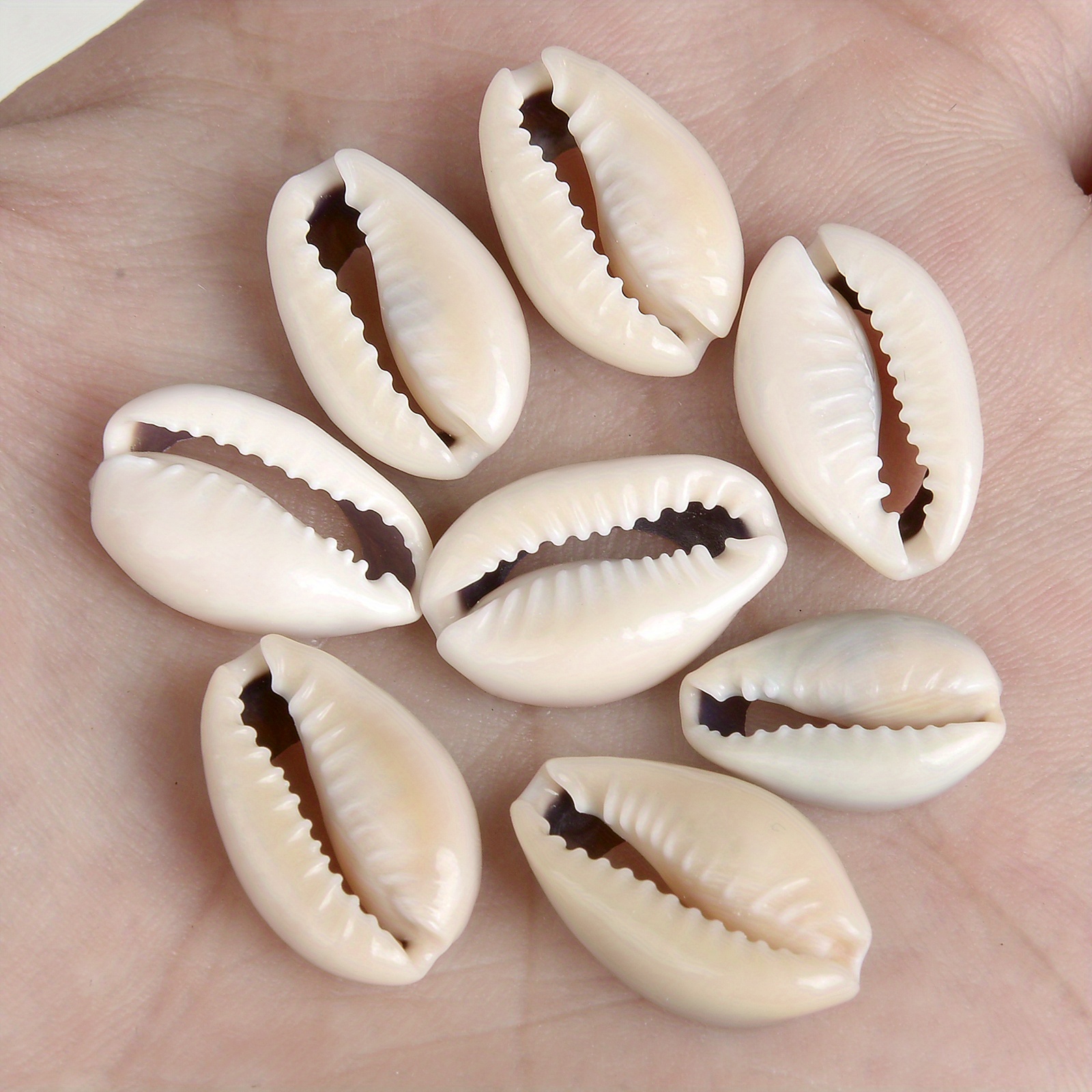 Natural Sea Shell Beads Strands, for DIY Craft Jewelry Making, Mixed Color,  8~18x5~10x5~10mm, about 109pcs/strand, 48 inch