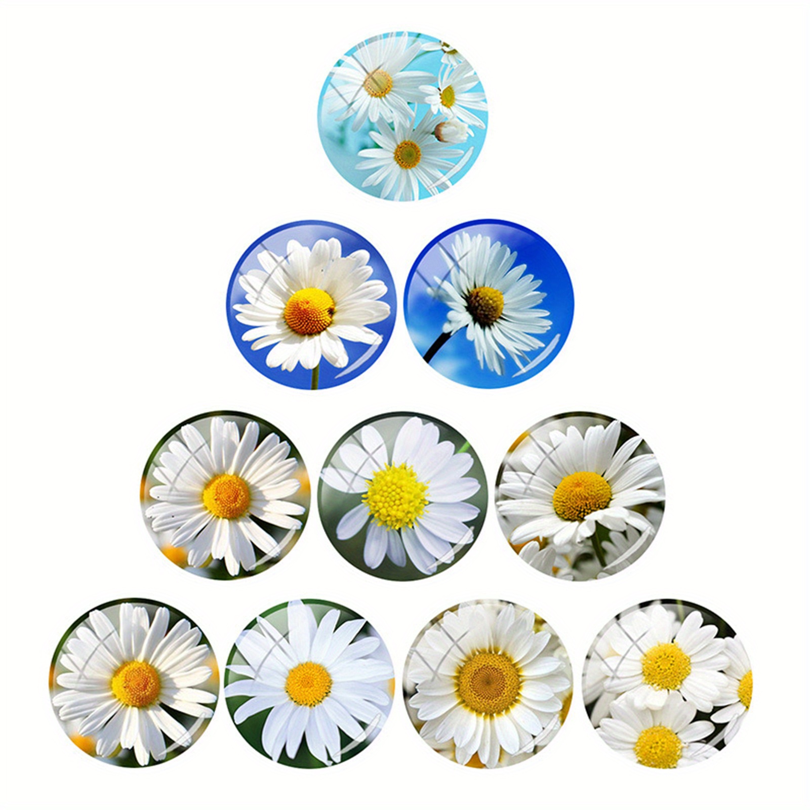 Daisy Flower Vinyl Stickers