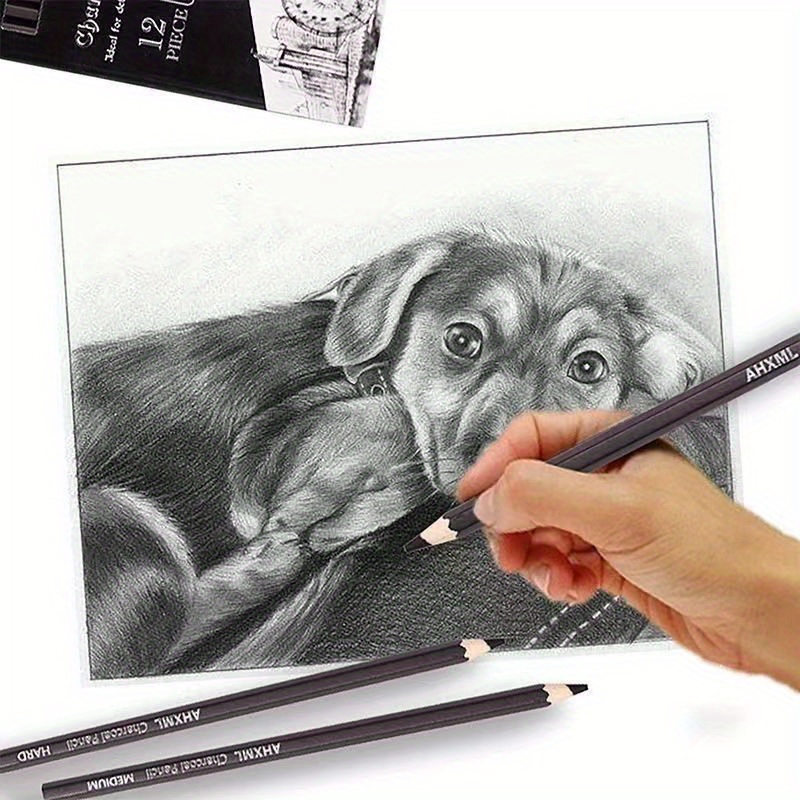 Drawing Sketch Sketch Charcoal 2b4b6b Pencil Soft Charcoal - Temu