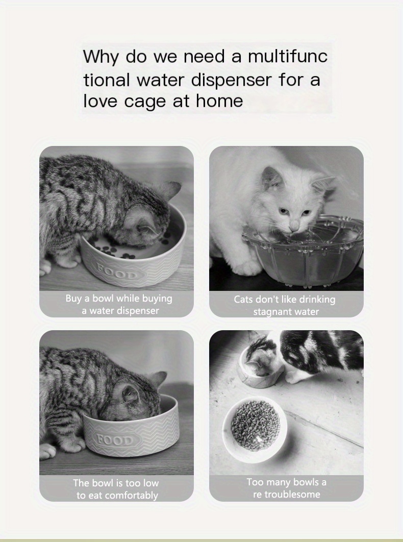 Cat Feeder Water Dispenser Set Keep Pets Fed Hydrated Temu