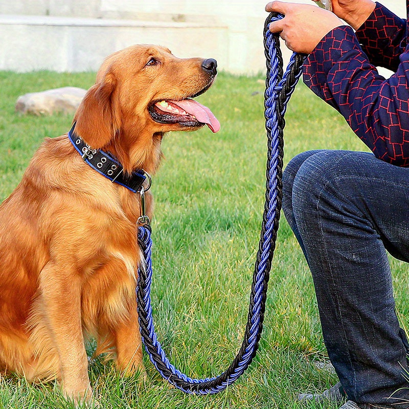 Braided Dog Leash Heavy Duty Nylon Training Walking Thick Rope Medium Large Dogs, Blue