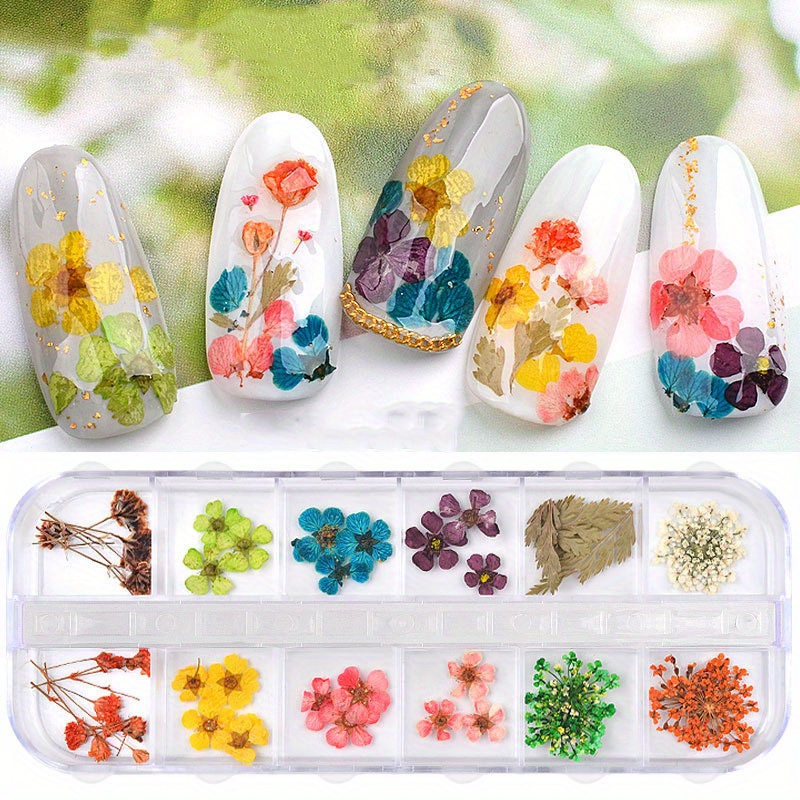 3d Dried Flower Nail Art Charms For Nail Art Decoration - Temu
