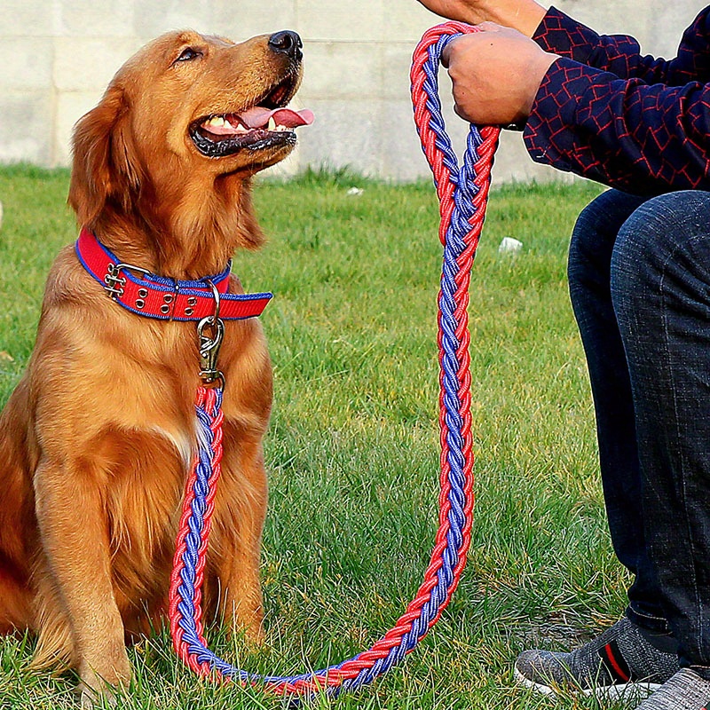 Sturdy dog leash discount