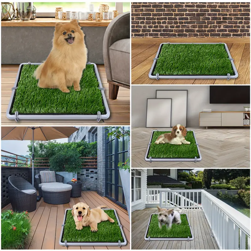 Apartment puppy grass Clearance