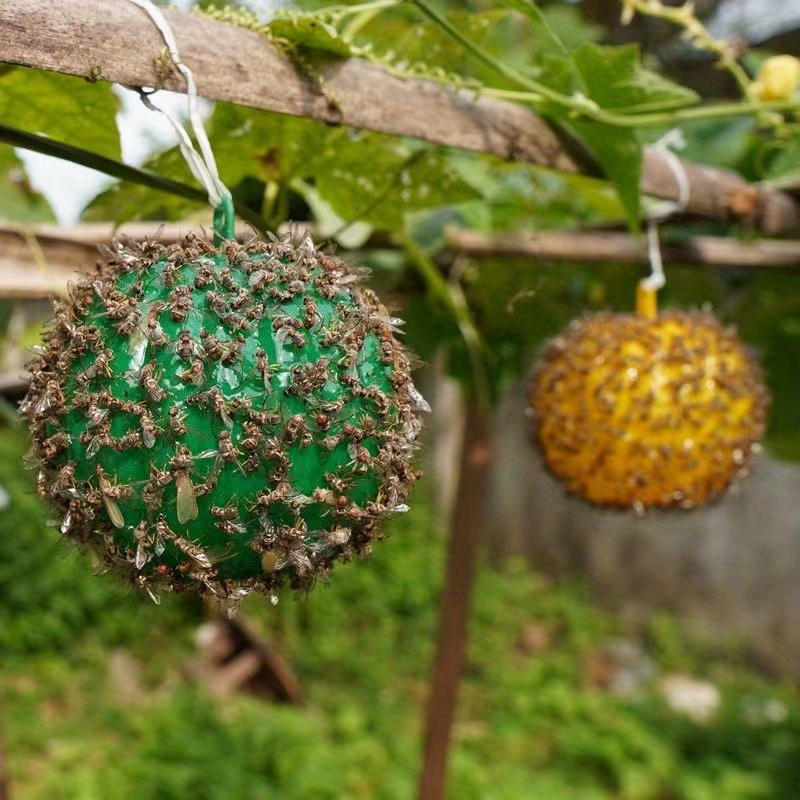 Pumpkin Shape Fly Trap Ball Fruit Fly Ball Yellow Green Trap - Temu Canada