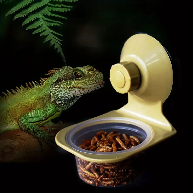 Feeding bowl detail image