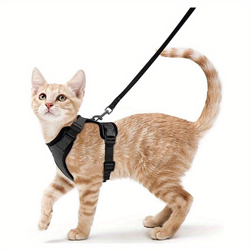 1pc Harnais Et Laisse Pour Chat Pour La Marche Harnais De - Temu