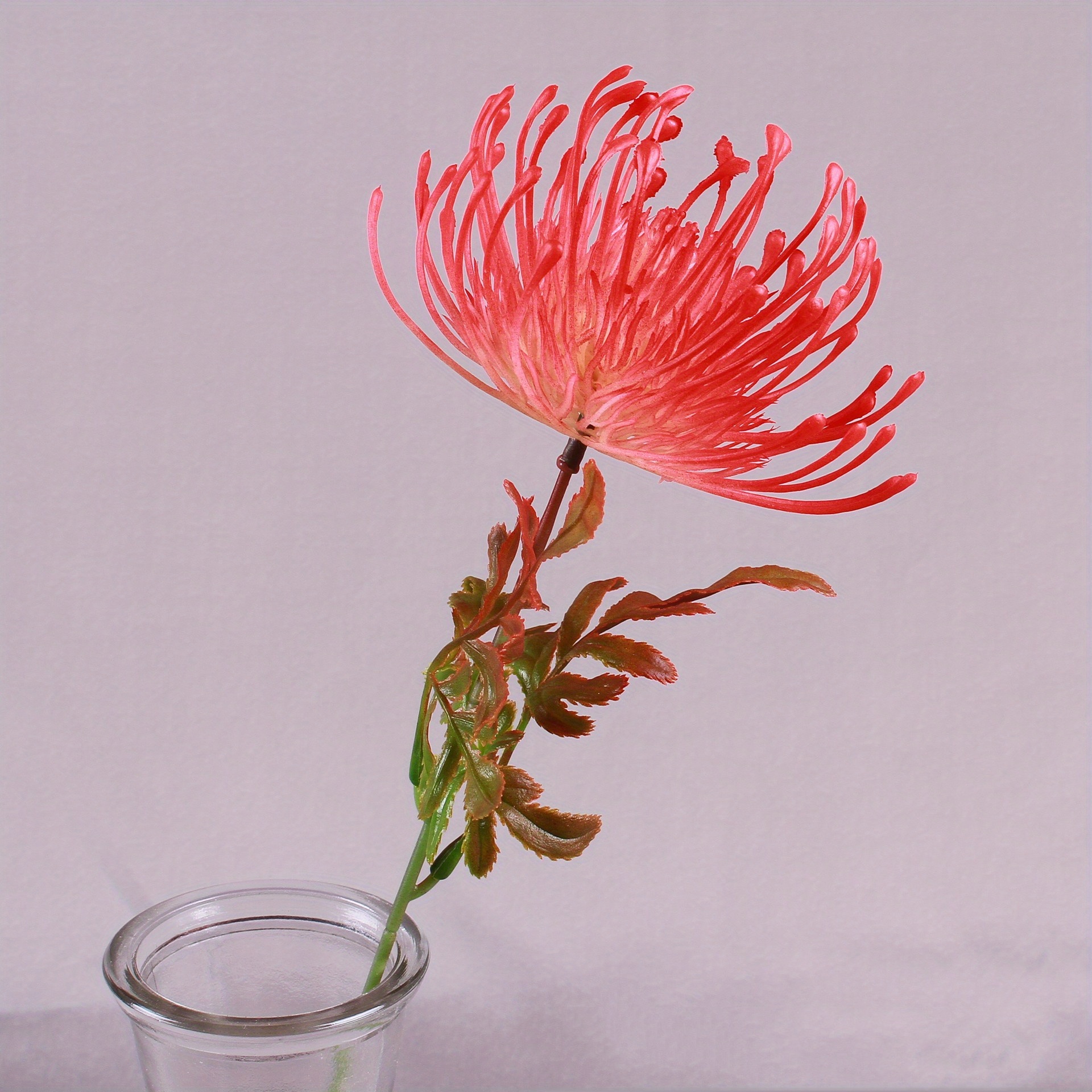 South African Emperor Flowers Realistic Simulation Flowers - Temu