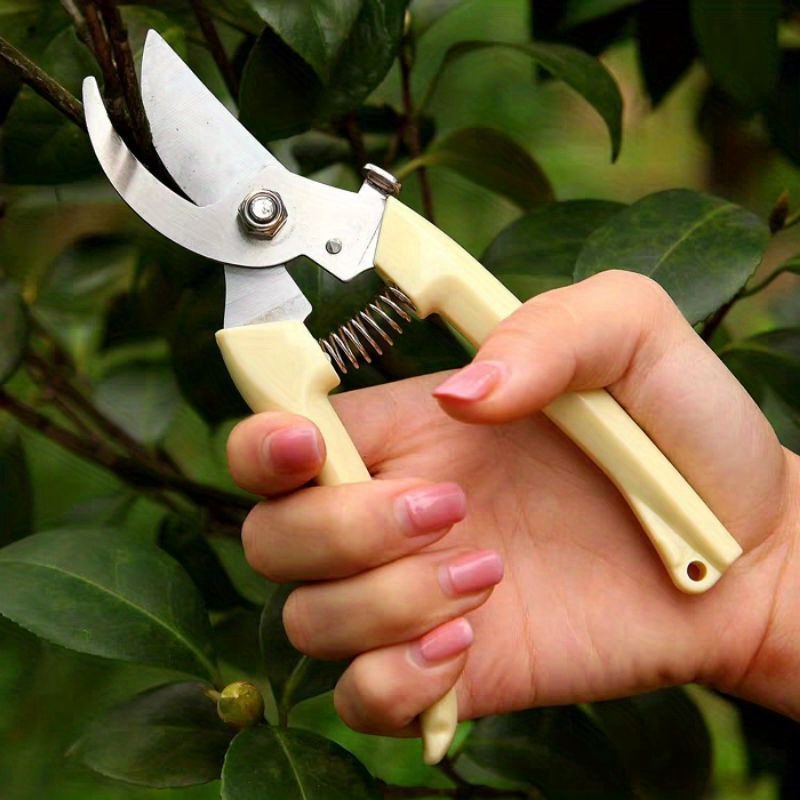 Long handled Pruning Shears Picking Fruits Trimming Branches Temu