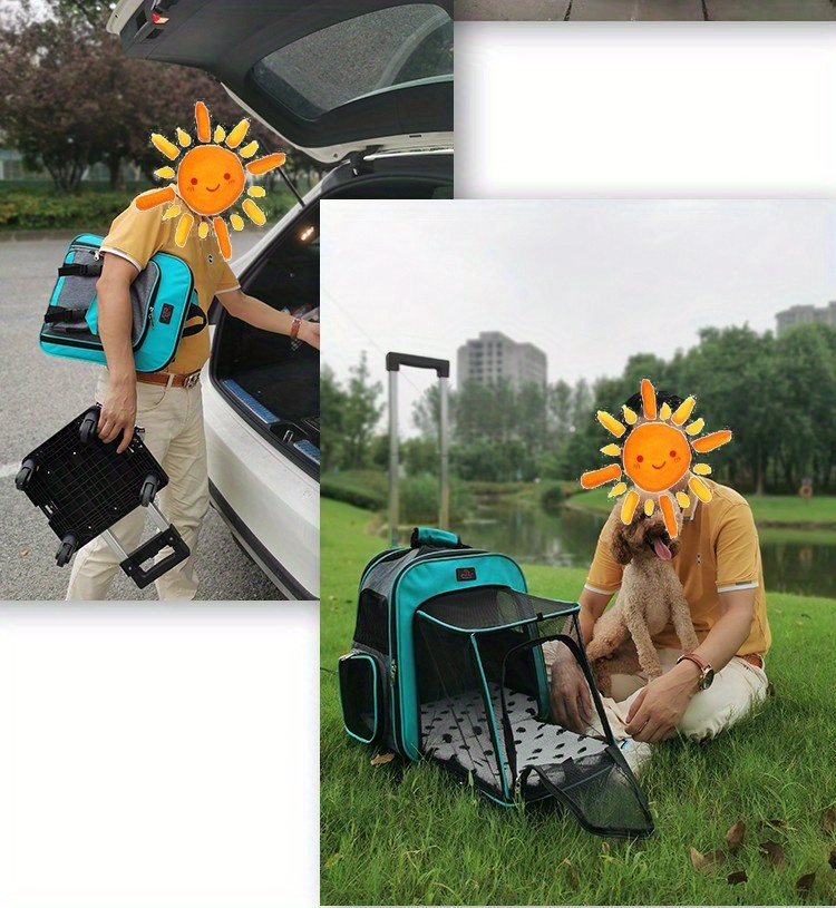Airline approved Rolling Pet Carrier Telescopic Handle Temu
