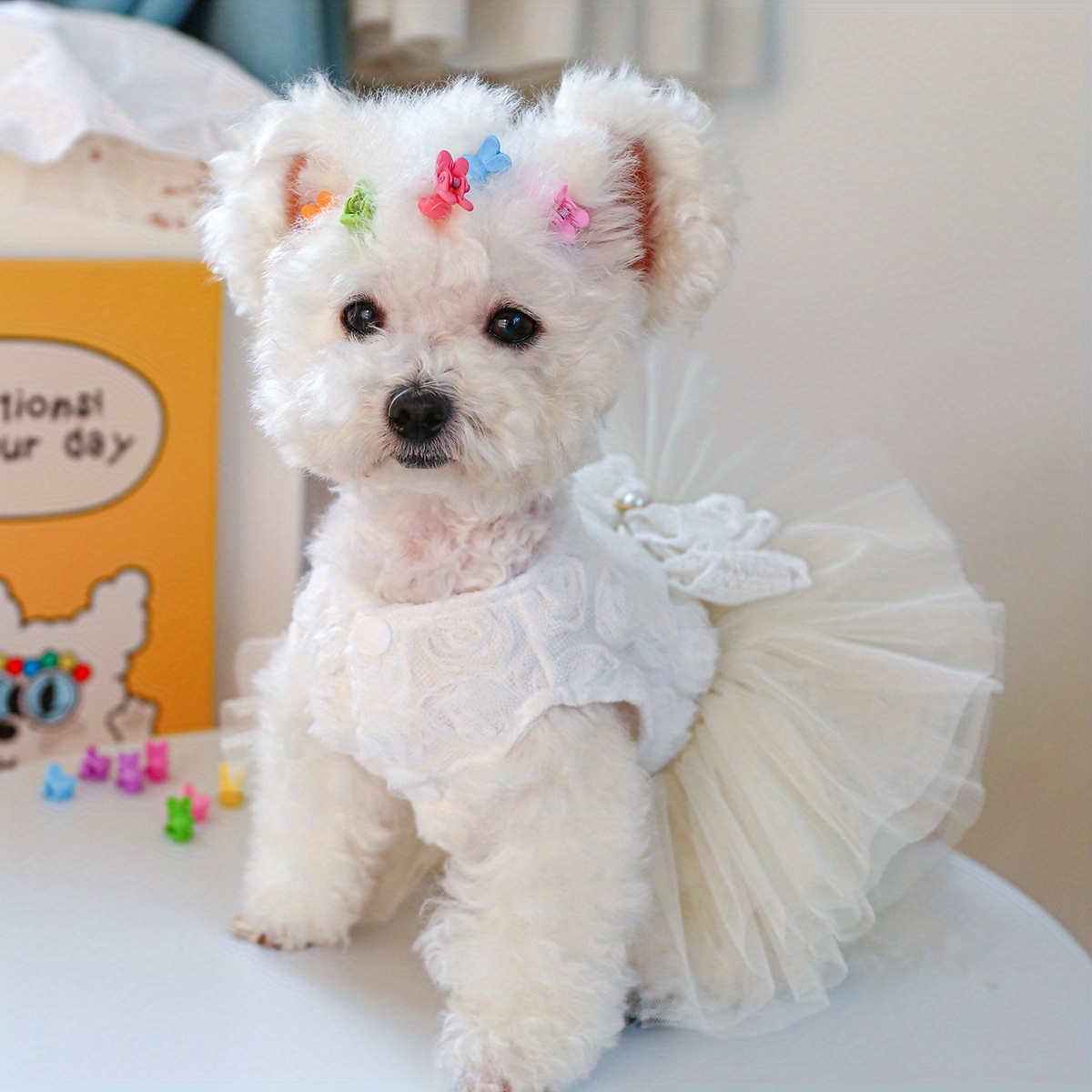 Pet Dog Cat Small Grab Clip Dog Hair Random Temu Netherlands