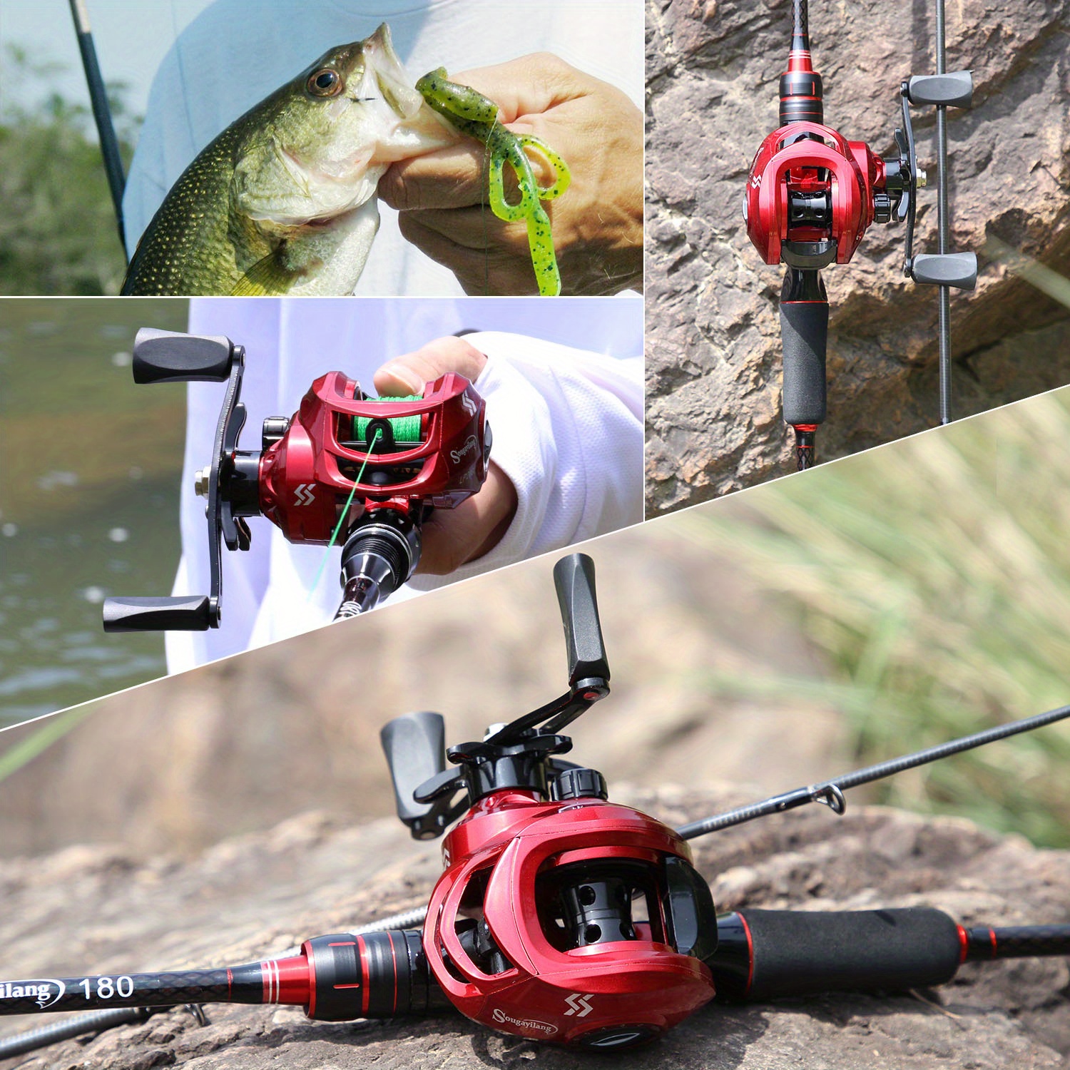 Fishing Concept. Freshwater Fish And Fishing Rods With Reels On
