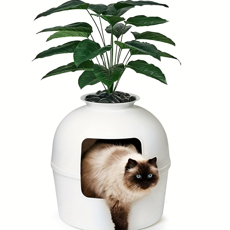 Kitty clearance litter planter