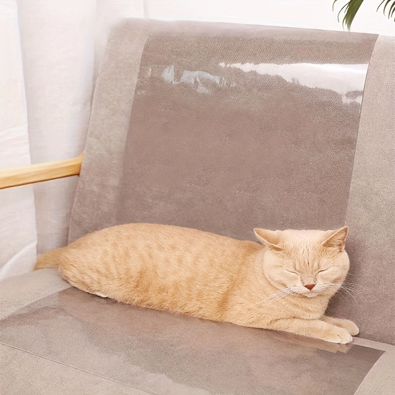 How to Protect Your Sofa from Cat Scratches, Pets