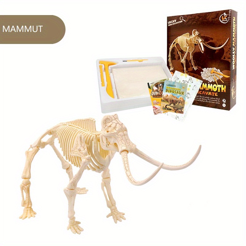 3d Dinossauro Dinossauro Kit de Escavação Fóssil Kit Educacional