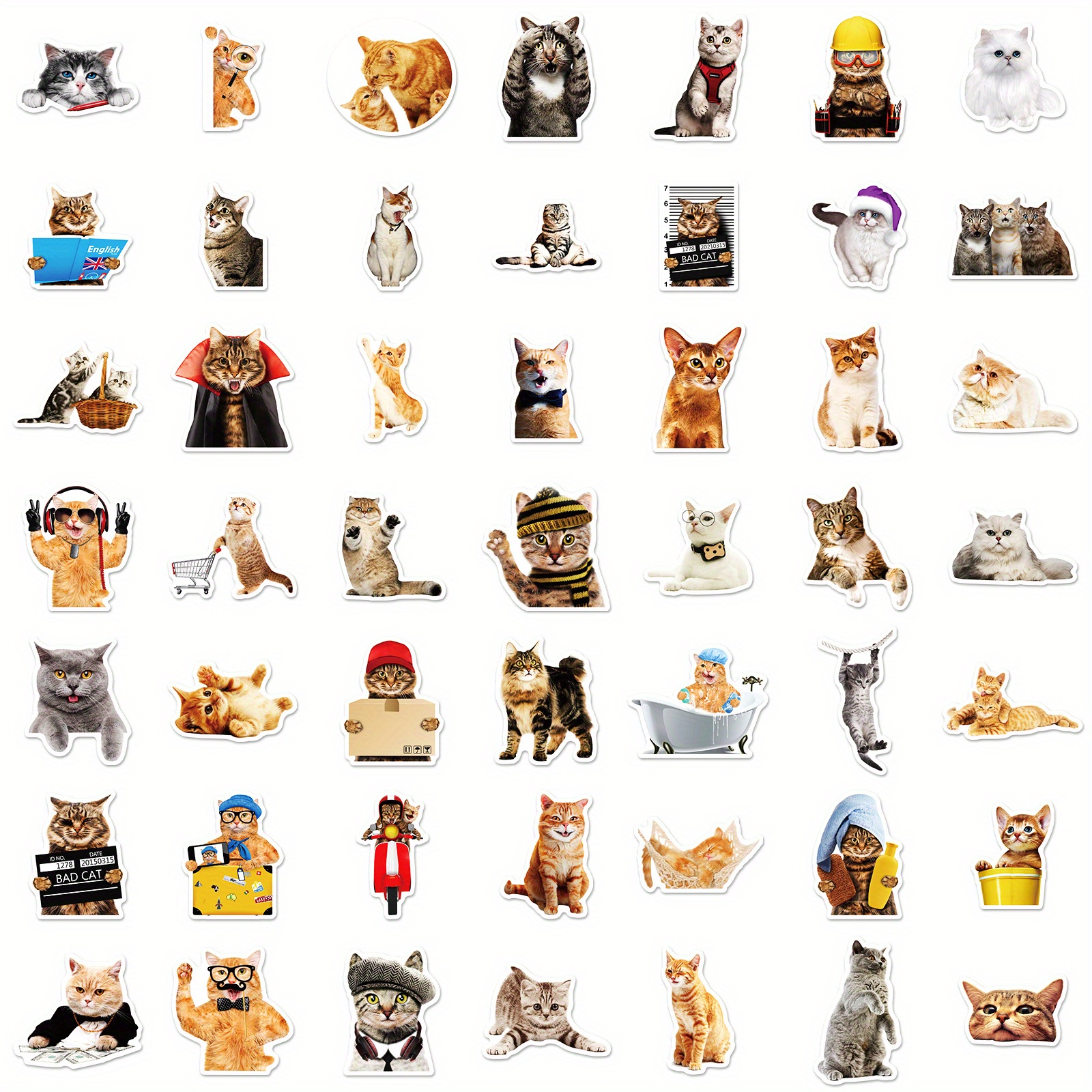 Realistic Cat Stickers, Waterproof Aesthetic Vinyl Stickers, Funny ...