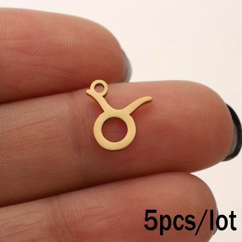 Stainless Steel Zodiac Charms for Jewelry Making Constellation for DIY  Pendants