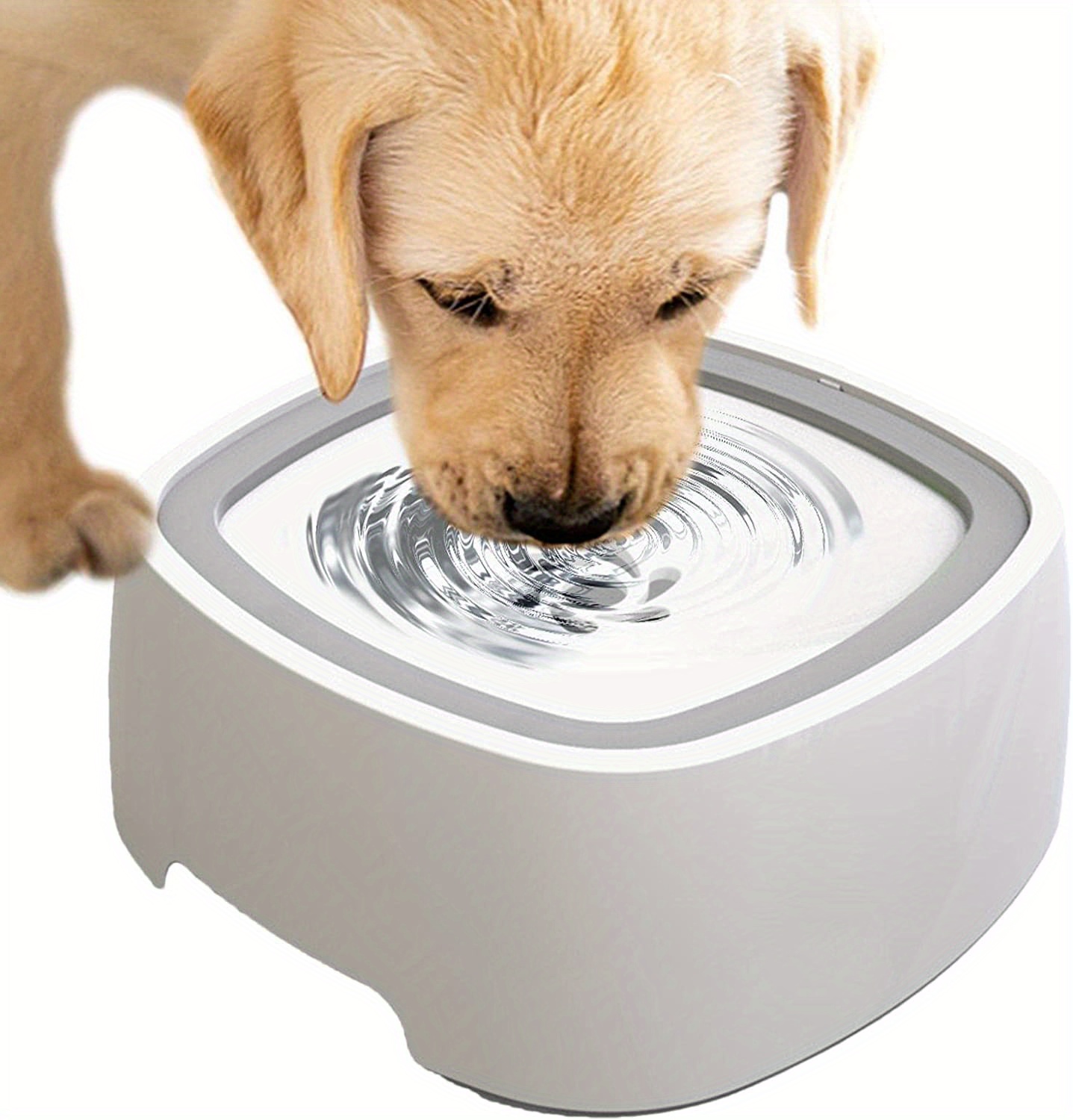 Dog Water Bowl Dog Bowl Slow Water Feeder No spill Pet - Temu New Zealand