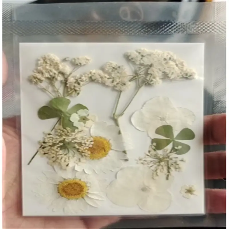 Mixed Dry Flowers, Dried Pressed Flowers for Crafts, Dried Flowers for  Resin, Pressed Flower Art, Yellow Flowers, Sunflowers, Halloween Art 