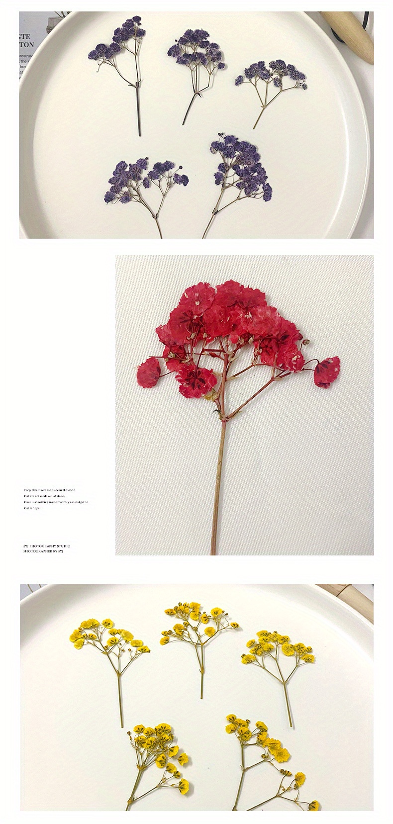 Equipments - Baby's Breath Dried Pressed Flower Decorative Specimen