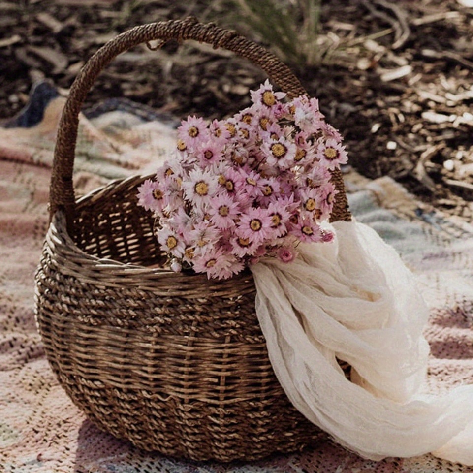 Flores secas blancas imagen de archivo. Imagen de frescura - 191012665