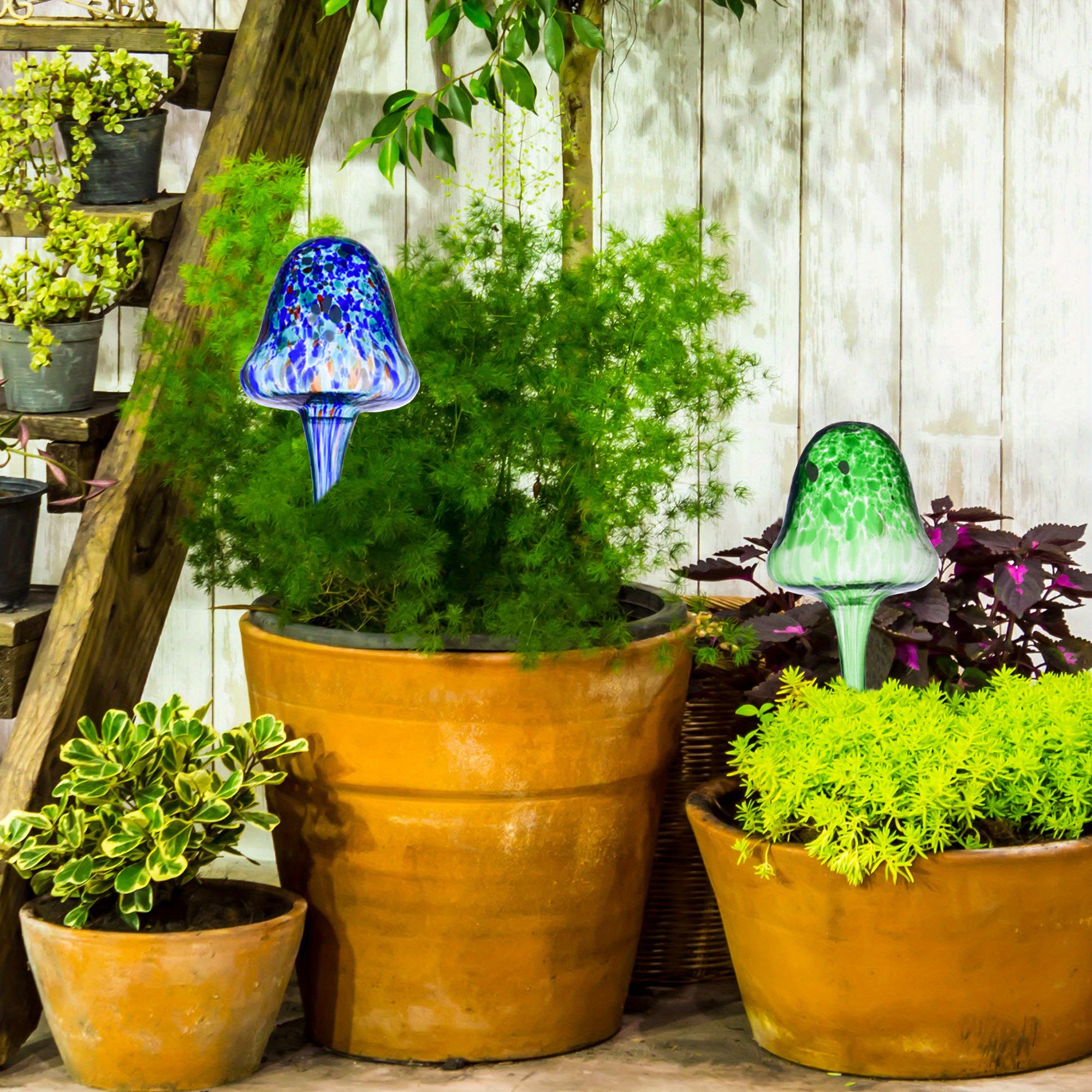 Acheter Ampoules d'arrosage pour plantes, Globes à arrosage