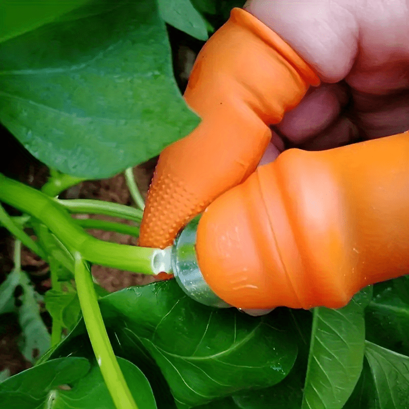 Sungpunet, Proteggi-dita per evitare di tagliarsi quando si affetta o trita  in cucina : : Casa e cucina