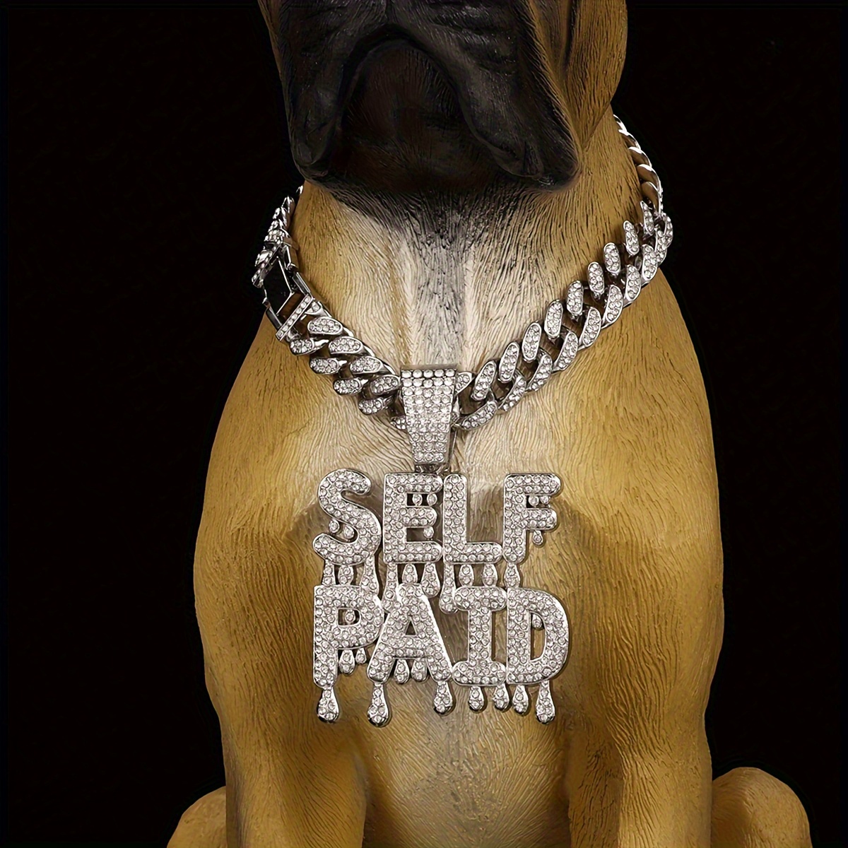 Chainz Merch Trappy Chainz Dog Chainz Puppy 2025