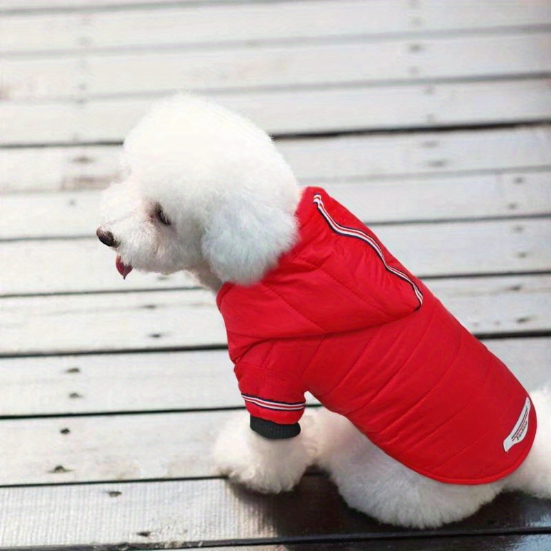 Dog Face Coat - Temu