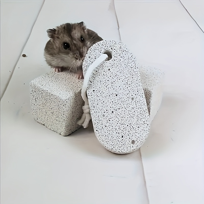 Chewy hamster outlet