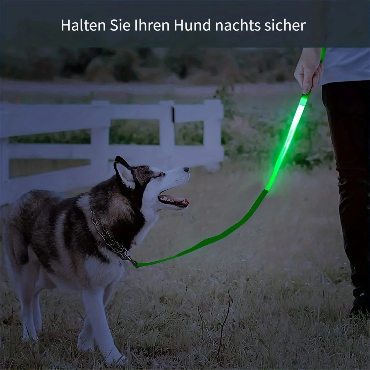 hundefutter hautprobleme HEPASKIN Pulver Hund  Haut, Fell & Fellwechsel