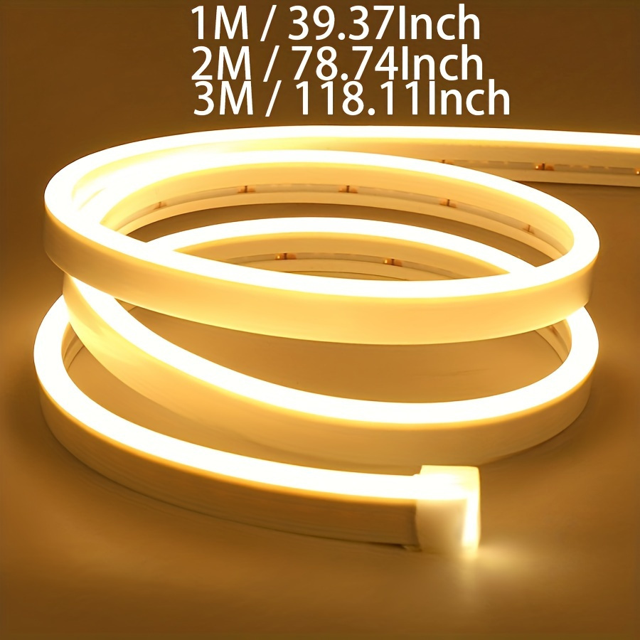 vimeepro Ruban LED néon 2 m, 5 V, étanche, ruban lumineux LED, flexible,  pour l'intérieur et l'extérieur (sans bloc d'alimentation/bleu) :  : Luminaires et Éclairage