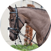 4pcs/set Forged Steel Horseshoes, Horse Supplies For Horse Racing,  Training, Transport Horseshoes Iron With 25 Horseshoe Nails