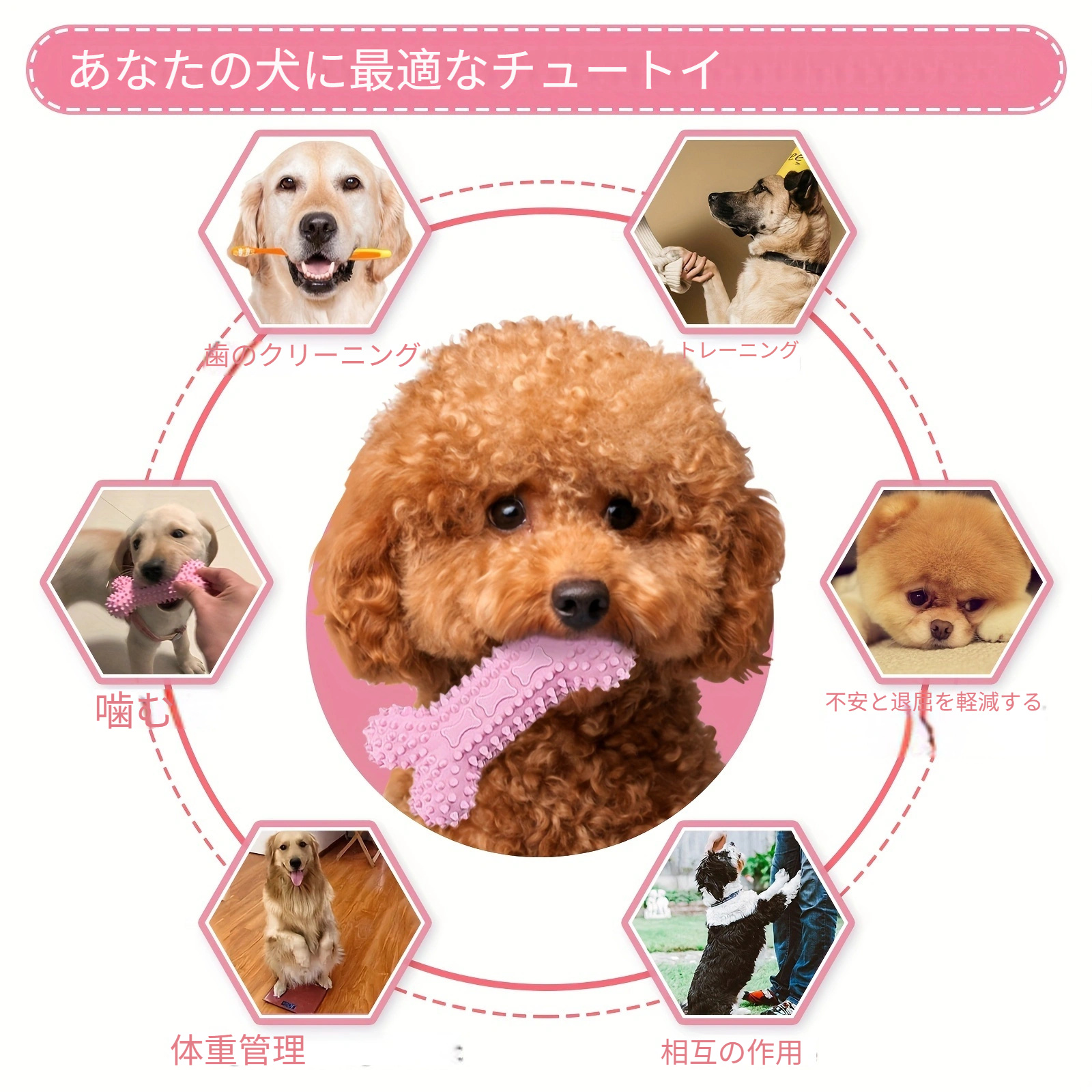 かわいい子犬用噛むおもちゃ6個セット 小型犬用の柔らかいゴム製歯が