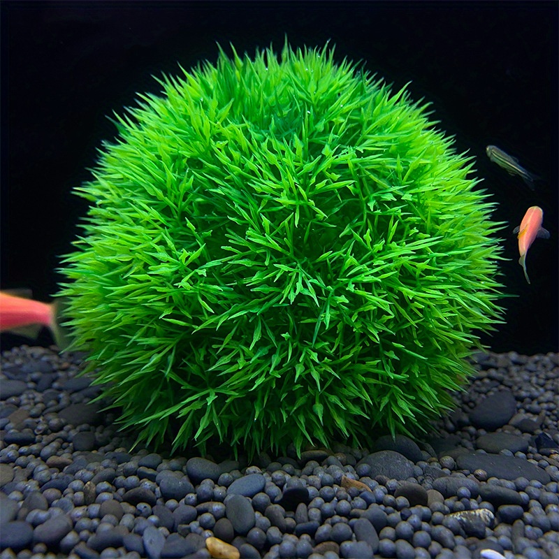 An Empty Round Green Ball Is A House For Grass Fish In A