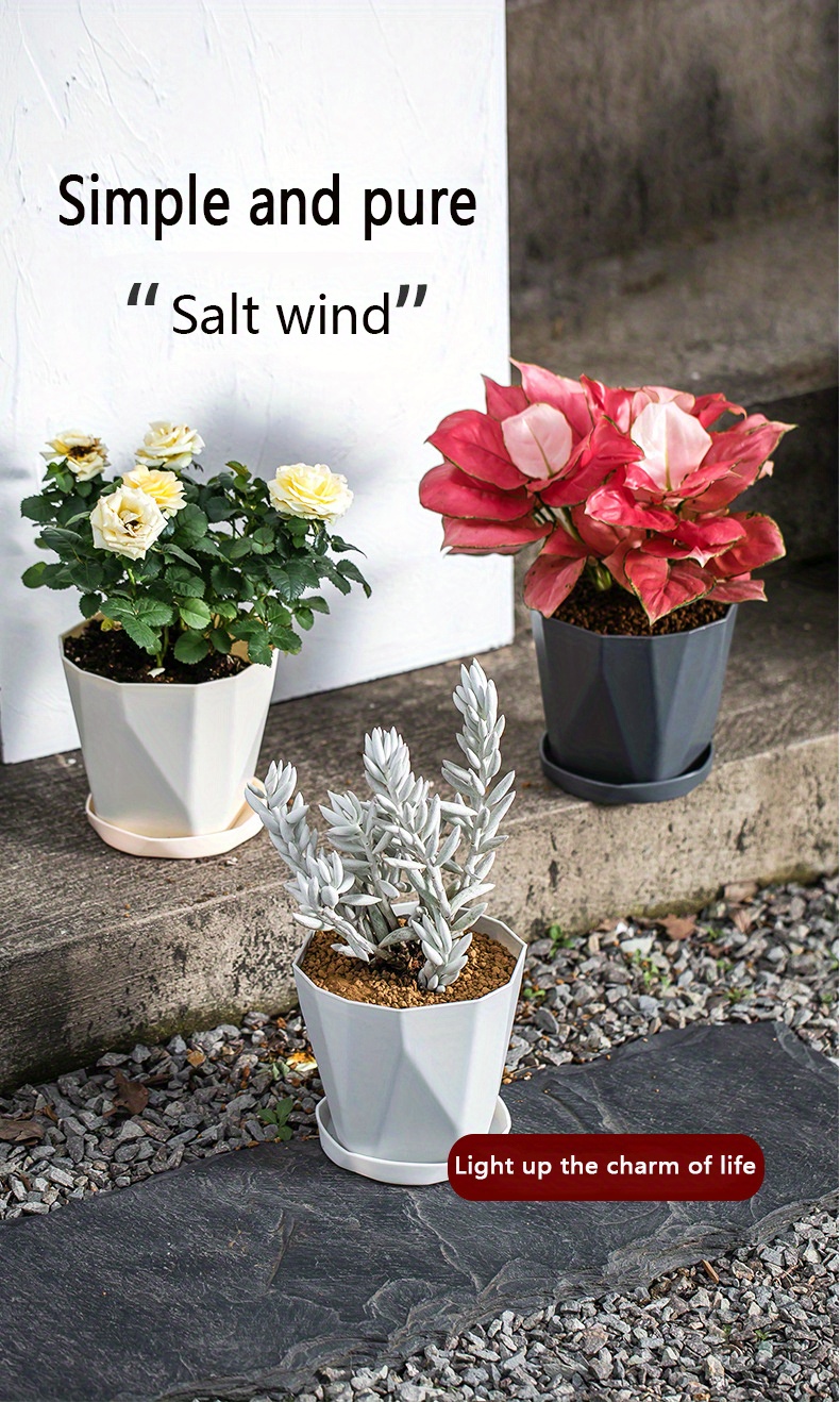 Ceramic Planter Plastic Planter Geometric Succulent Plant Temu