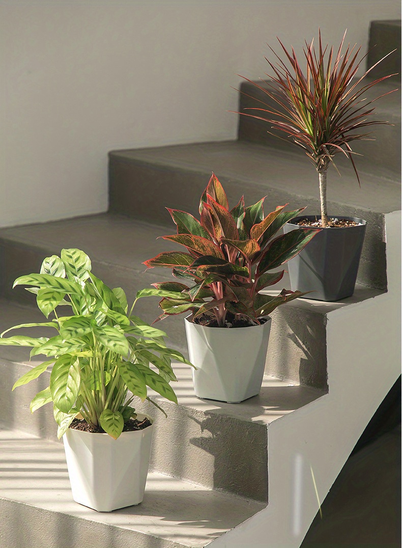 Ceramic Planter Plastic Planter Geometric Succulent Plant Temu