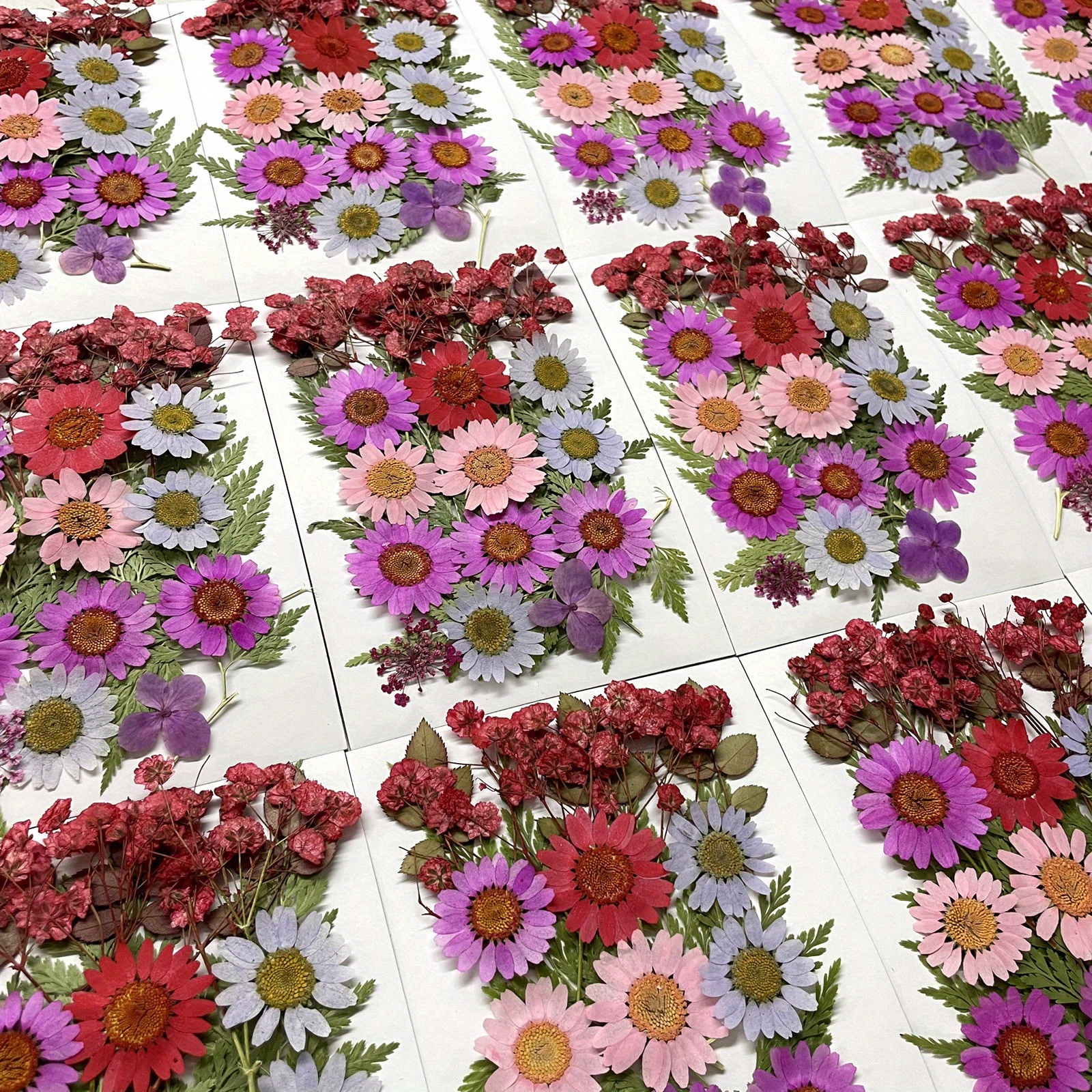 Natural Dried Pressed Flowers Leaves Petals 3 Colors Foil - Temu