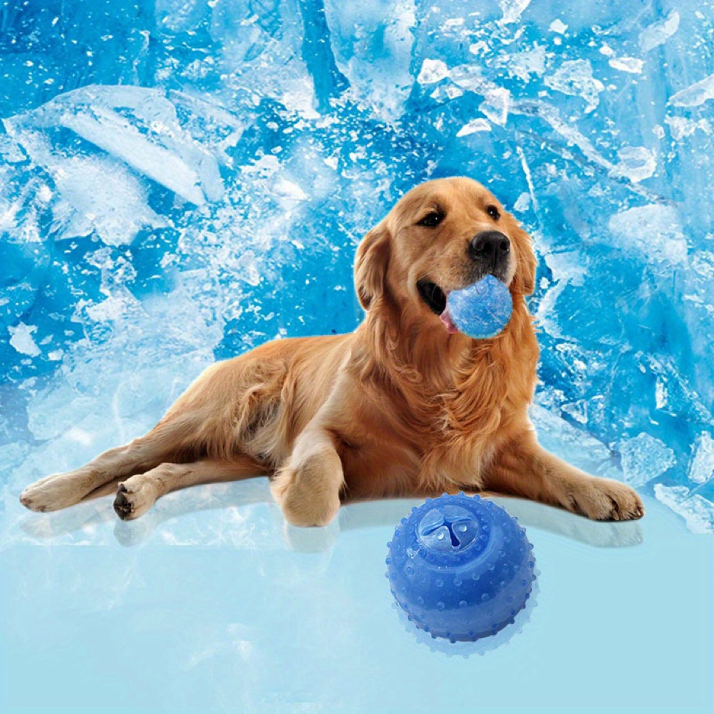 Tpu Filtering Food Leaking Funny Frozen Molar Toy Pet Dog Summer