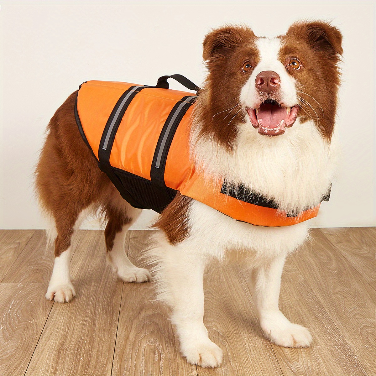 Xxs dog hot sale life jacket